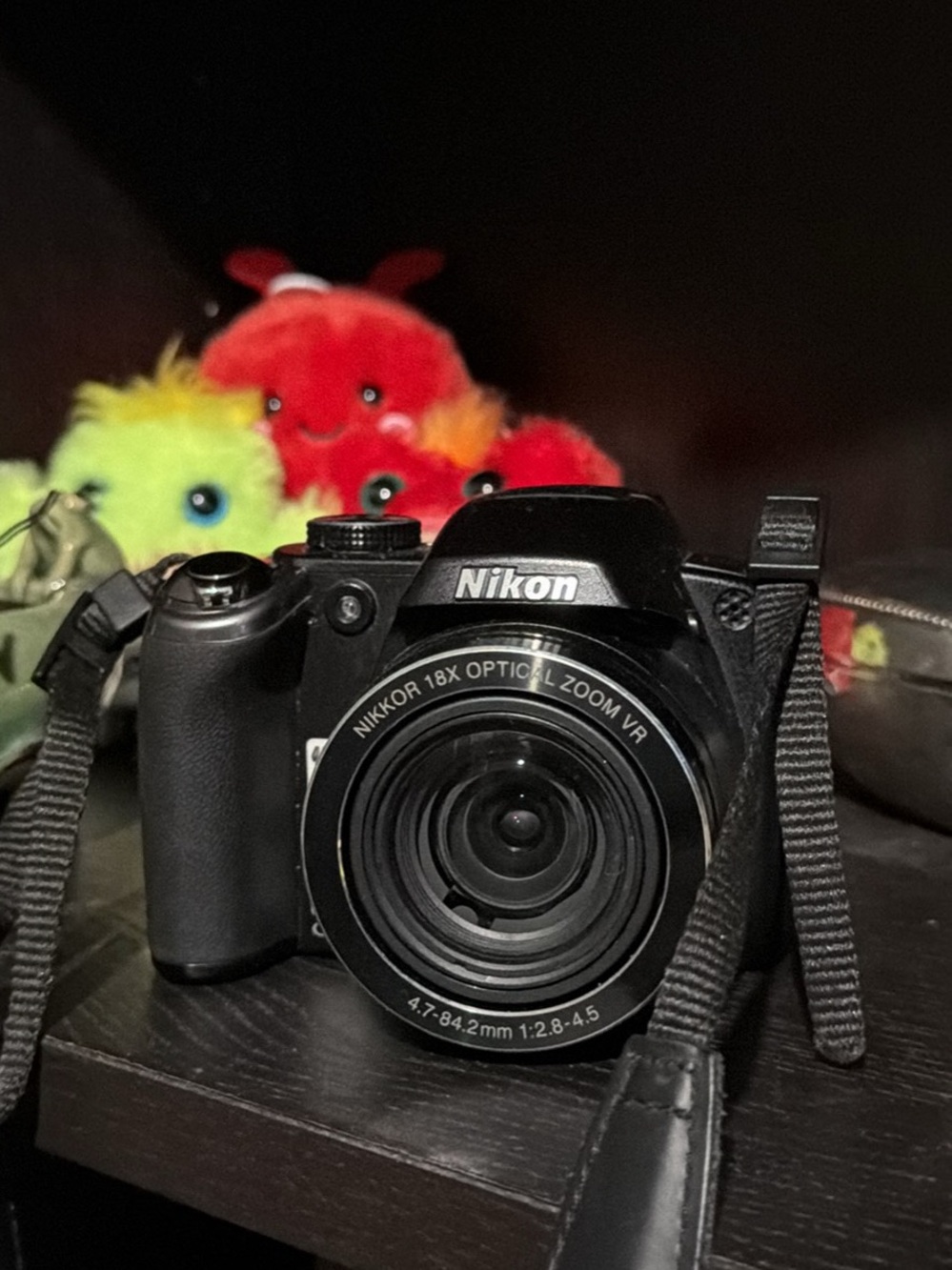Nikon Black Digital Camera with Nikkor 18x Optical Zoom